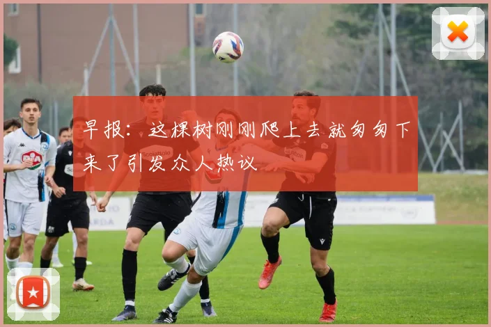 早报：这棵树刚刚爬上去就匆匆下来了引发众人热议