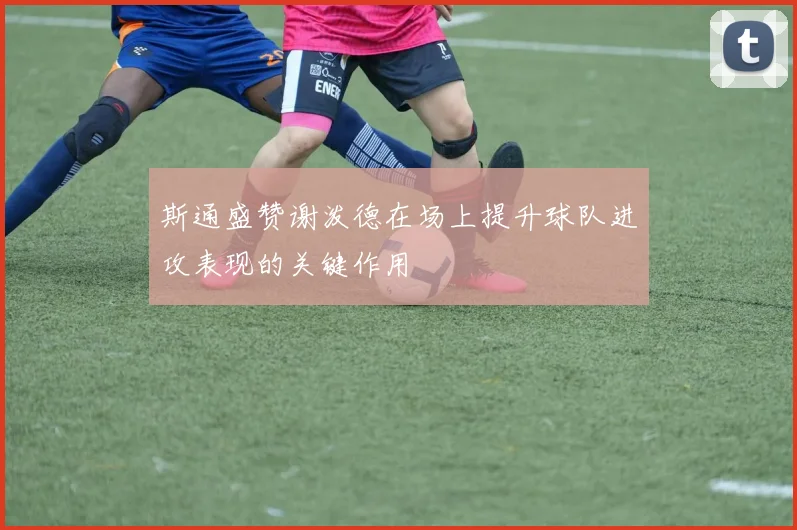 斯通盛赞谢泼德在场上提升球队进攻表现的关键作用